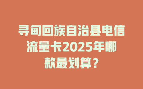 寻甸回族自治县电信流量卡2025年哪款最划算？