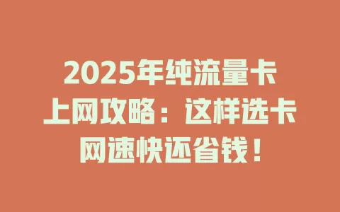 2025年纯流量卡上网攻略：这样选卡网速快还省钱！