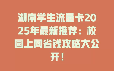 湖南学生流量卡2025年最新推荐：校园上网省钱攻略大公开！