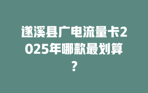 遂溪县广电流量卡2025年哪款最划算？