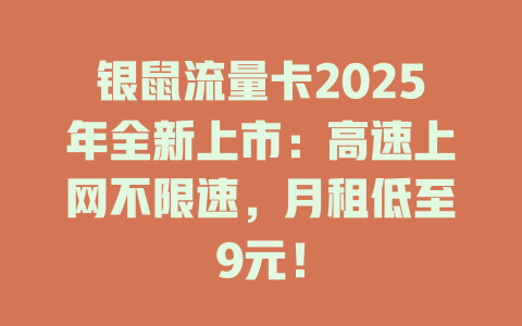 银鼠流量卡2025年全新上市：高速上网不限速，月租低至9元！