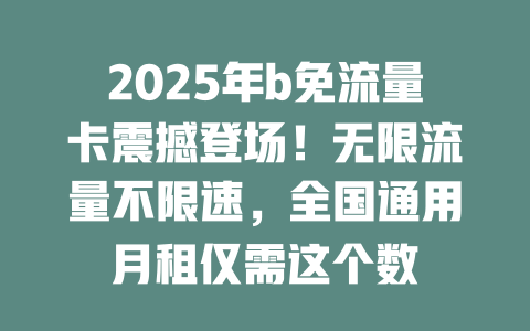 2025年b免流量卡震撼登场！无限流量不限速，全国通用月租仅需这个数