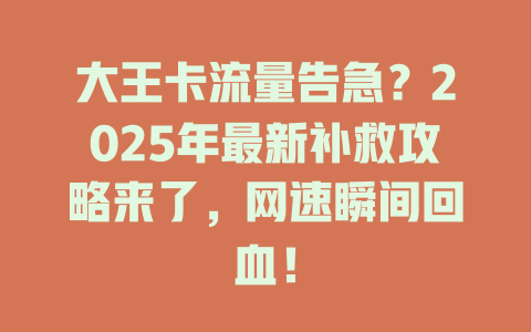 大王卡流量告急？2025年最新补救攻略来了，网速瞬间回血！