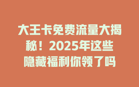 大王卡免费流量大揭秘！2025年这些隐藏福利你领了吗