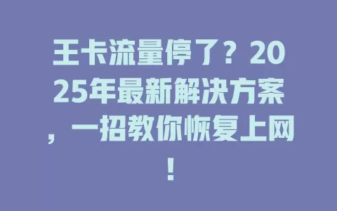 王卡流量停了？2025年最新解决方案，一招教你恢复上网！