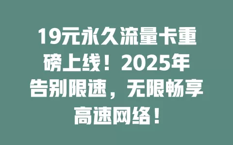 19元永久流量卡重磅上线！2025年告别限速，无限畅享高速网络！