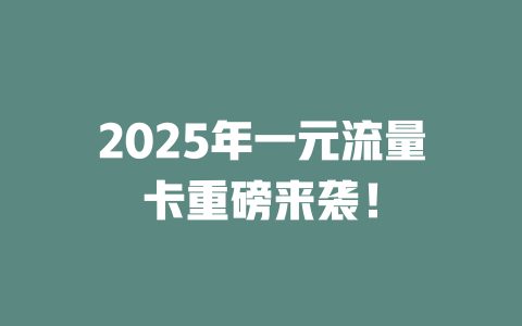 2025年一元流量卡重磅来袭！