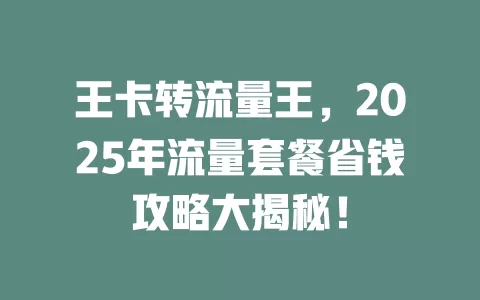 王卡转流量王，2025年流量套餐省钱攻略大揭秘！