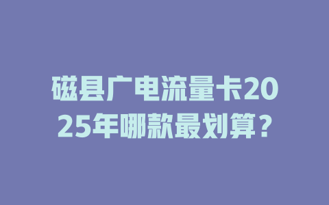 磁县广电流量卡2025年哪款最划算？
