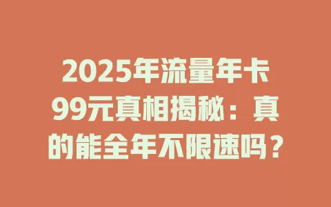 2025年流量年卡99元真相揭秘：真的能全年不限速吗？