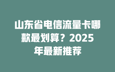 山东省电信流量卡哪款最划算？2025年最新推荐