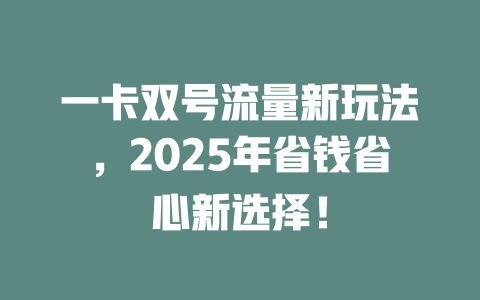 一卡双号流量新玩法，2025年省钱省心新选择！
