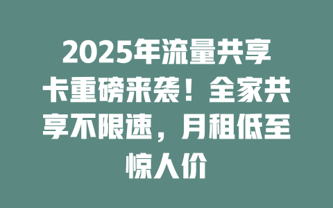 2025年流量共享卡重磅来袭！全家共享不限速，月租低至惊人价