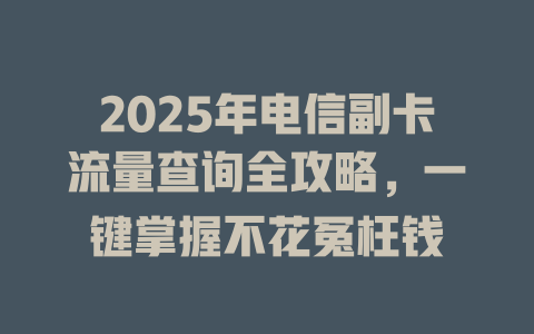2025年电信副卡流量查询全攻略，一键掌握不花冤枉钱