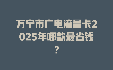 万宁市广电流量卡2025年哪款最省钱？