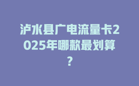 泸水县广电流量卡2025年哪款最划算？