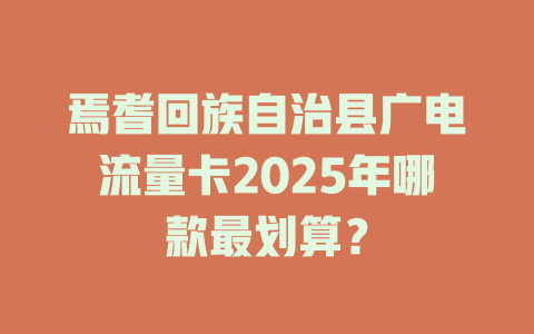 焉耆回族自治县广电流量卡2025年哪款最划算？