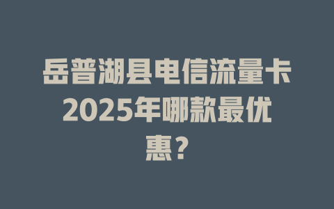 岳普湖县电信流量卡2025年哪款最优惠？