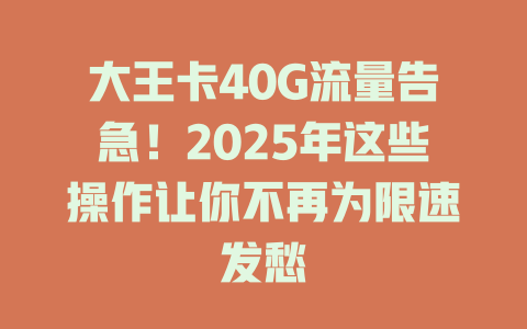 大王卡40G流量告急！2025年这些操作让你不再为限速发愁