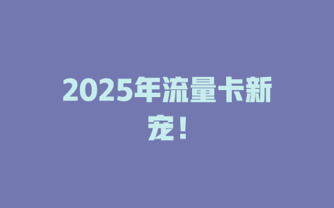 2025年流量卡新宠！