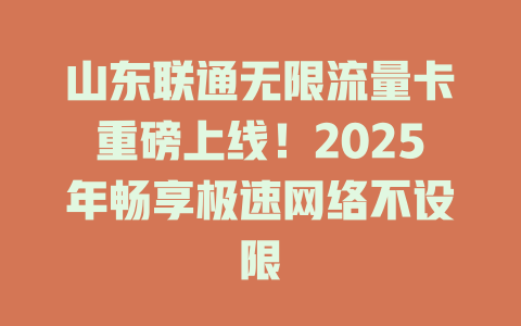 山东联通无限流量卡重磅上线！2025年畅享极速网络不设限