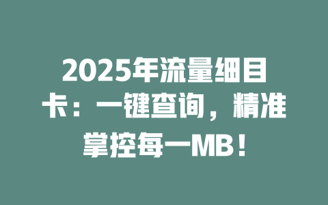 2025年流量细目卡：一键查询，精准掌控每一MB！