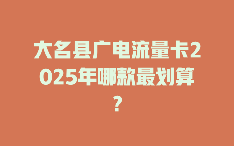 大名县广电流量卡2025年哪款最划算？