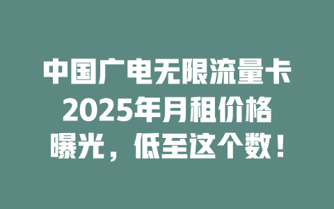 中国广电无限流量卡2025年月租价格曝光，低至这个数！