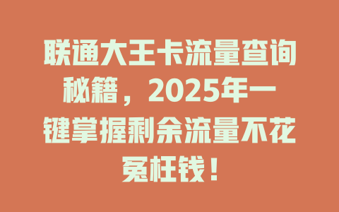 联通大王卡流量查询秘籍，2025年一键掌握剩余流量不花冤枉钱！