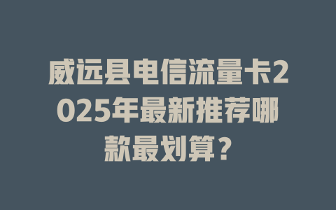 威远县电信流量卡2025年最新推荐哪款最划算？