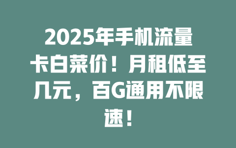 2025年手机流量卡白菜价！月租低至几元，百G通用不限速！