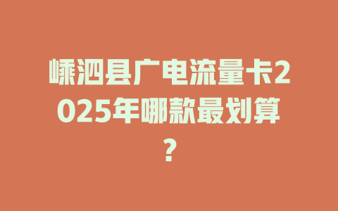 嵊泗县广电流量卡2025年哪款最划算？