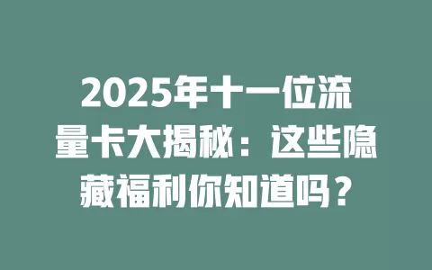 2025年十一位流量卡大揭秘：这些隐藏福利你知道吗？