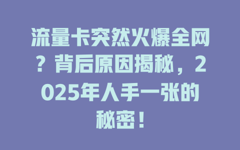 流量卡突然火爆全网？背后原因揭秘，2025年人手一张的秘密！