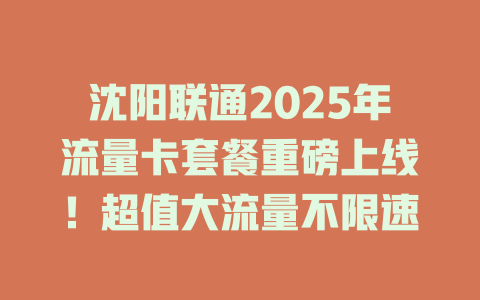 沈阳联通2025年流量卡套餐重磅上线！超值大流量不限速