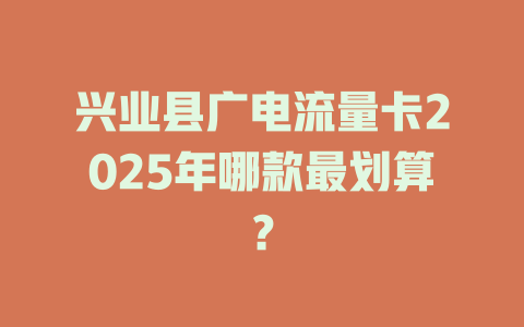 兴业县广电流量卡2025年哪款最划算？