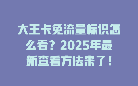 大王卡免流量标识怎么看？2025年最新查看方法来了！