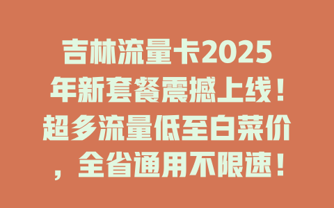 吉林流量卡2025年新套餐震撼上线！超多流量低至白菜价，全省通用不限速！