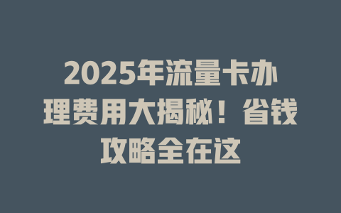 2025年流量卡办理费用大揭秘！省钱攻略全在这