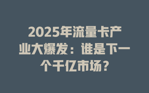 2025年流量卡产业大爆发：谁是下一个千亿市场？