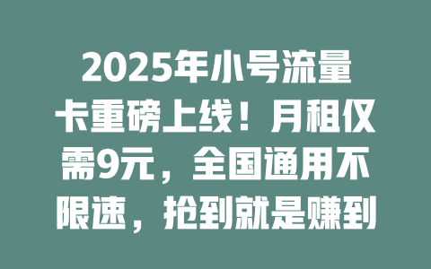 2025年小号流量卡重磅上线！月租仅需9元，全国通用不限速，抢到就是赚到！