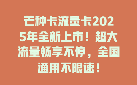 芒种卡流量卡2025年全新上市！超大流量畅享不停，全国通用不限速！