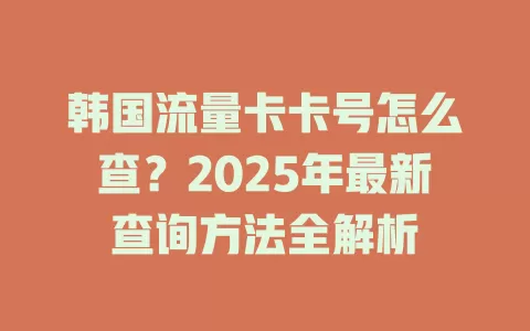 韩国流量卡卡号怎么查？2025年最新查询方法全解析
