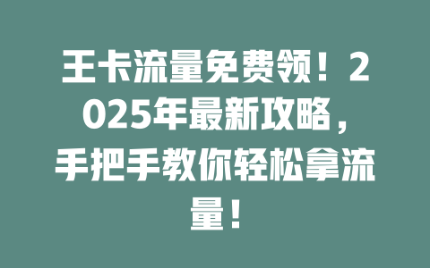 王卡流量免费领！2025年最新攻略，手把手教你轻松拿流量！