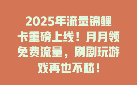 2025年流量锦鲤卡重磅上线！月月领免费流量，刷剧玩游戏再也不愁！