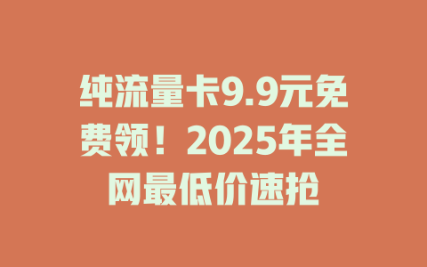 纯流量卡9.9元免费领！2025年全网最低价速抢