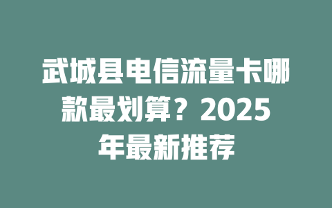 武城县电信流量卡哪款最划算？2025年最新推荐