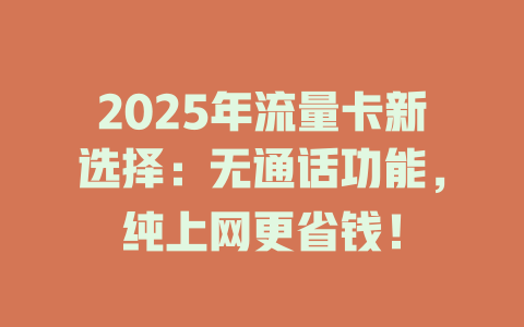 2025年流量卡新选择：无通话功能，纯上网更省钱！