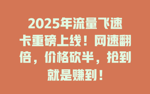 2025年流量飞速卡重磅上线！网速翻倍，价格砍半，抢到就是赚到！