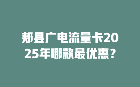 郏县广电流量卡2025年哪款最优惠？